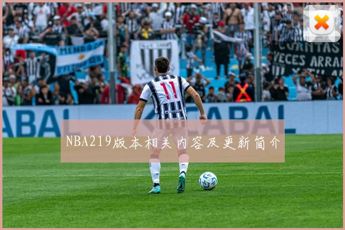 NBA219版本相关内容及更新简介