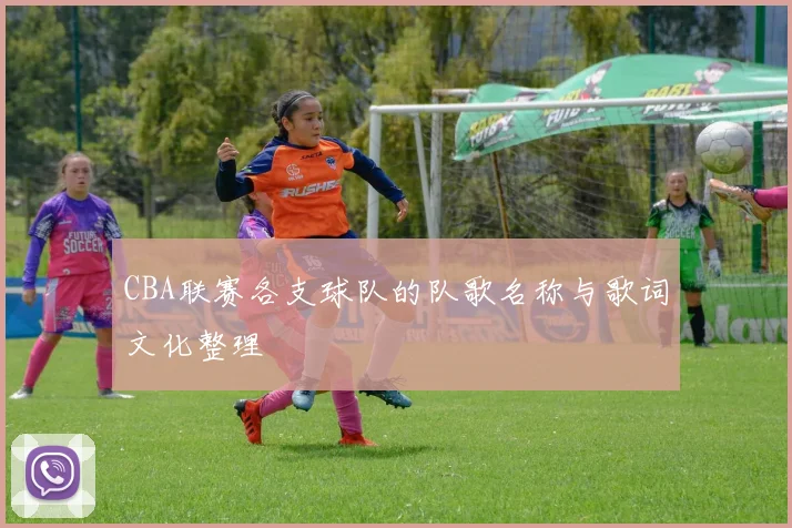 CBA联赛各支球队的队歌名称与歌词文化整理