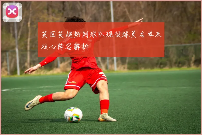 英国英超热刺球队现役球员名单及核心阵容解析